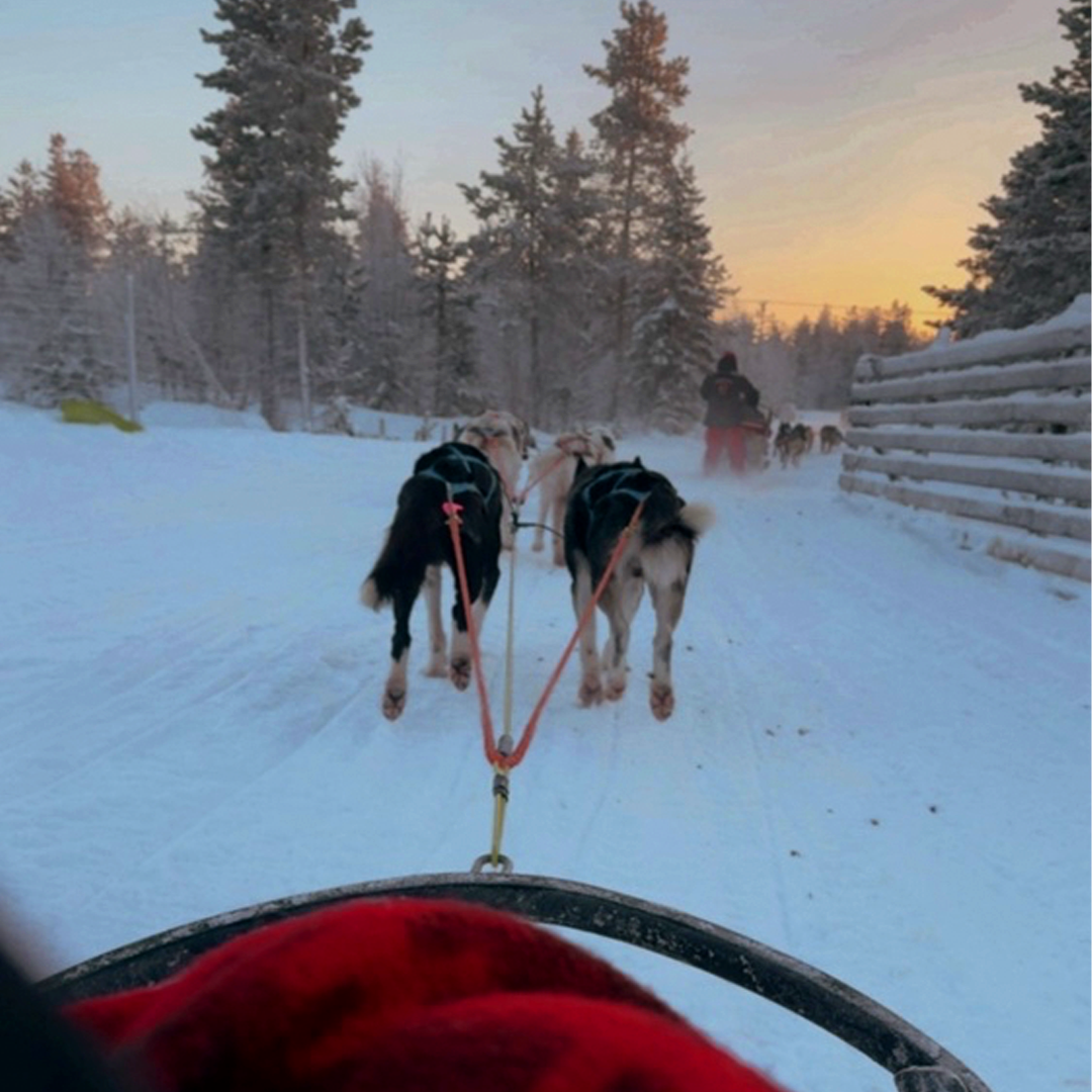CTA_Finlandia26_01